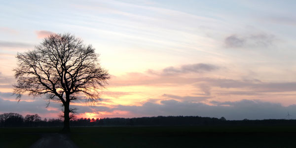 Trauerfeier